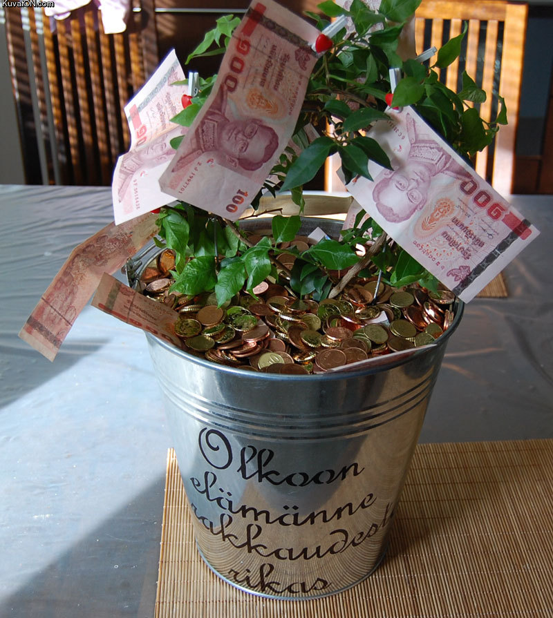 wedding_gift_money_tree_-_403.70_eur_-_1000_baht.jpg