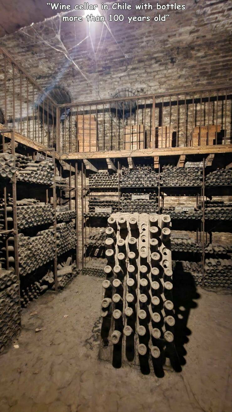 winecellar.jpg