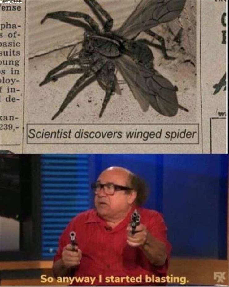 winged_spider.jpg