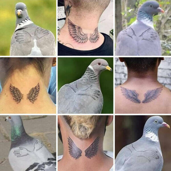 wingstattoo.jpg