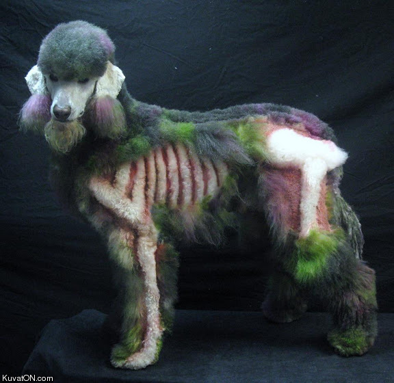 zombie_poodle.jpeg