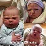 2020babies.jpg