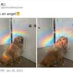 angel3.jpg