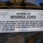 beware_of_invisible_cows.jpg