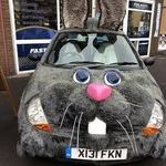 bunnycar.jpg