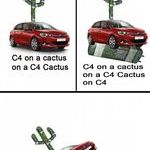 c4_cactus.jpg