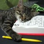 cat_falling_asleep_doing_sudoku.jpg