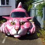 cat_mobile.jpg