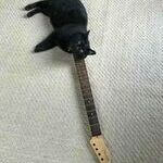 catguitar4.jpg