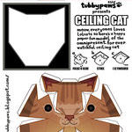 ceiling_cat_is_watching_you.jpg