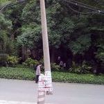 china_telecom_telephone_pole_repair.jpg