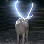 clever_reindeer_antlers.jpg