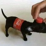 cokedog.jpg