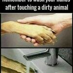 dirty_animal.jpg