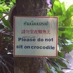 do_not_sit_on_crocodile_sign.jpg