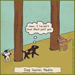 dog_social_media.jpg