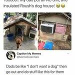 doghouse2.jpg