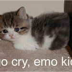 emo_cat.jpg