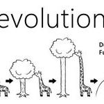 evolution11.jpg