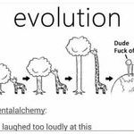 evolution12.jpg