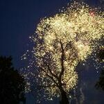 fireworkstree.jpg