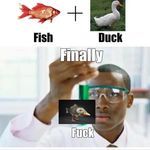 fish_plus_duck.jpg