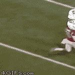 football16.gif