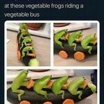 frogs74.jpg