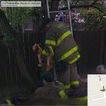 google_street_view_fireman_way_rescuing_what.jpg