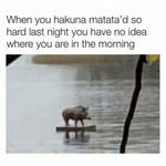 hakuna_matata_3.jpg