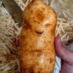 happy_potato.jpg