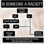 is_someone_a_racist.jpg
