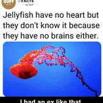 jelly.jpg