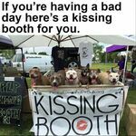 kissingbooth.jpg