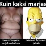 kuin_kaksi_marjaa_homer_simpson.jpg