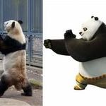 kungfu_panda.jpg