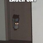 laser_cat_2.jpg