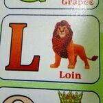 loin.jpg