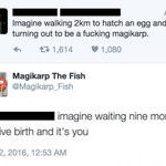 magikarp_the_fish.jpg