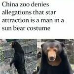 maninabearcostume.jpg