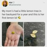 mini_lemon.jpg