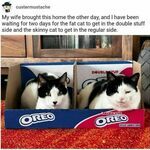 oreos.jpg