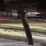 parkkiin03.gif