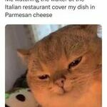 parmesancheese.jpg