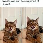 proudcat.jpg