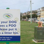 put_your_dog_in_litter_bin.jpg