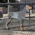 rusted__doberman.jpg