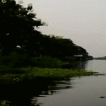 sairaan_nopee_paatti.gif