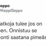 seppo_on_seppo.jpg