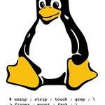 sexy_linux.jpg